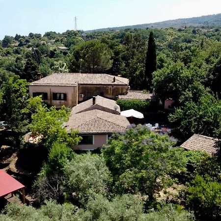 Bed And Breakfast Il Glicine Piedimonte Etneo Bagian luar foto