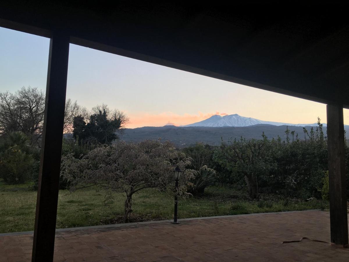 Bed And Breakfast Il Glicine Piedimonte Etneo Bagian luar foto