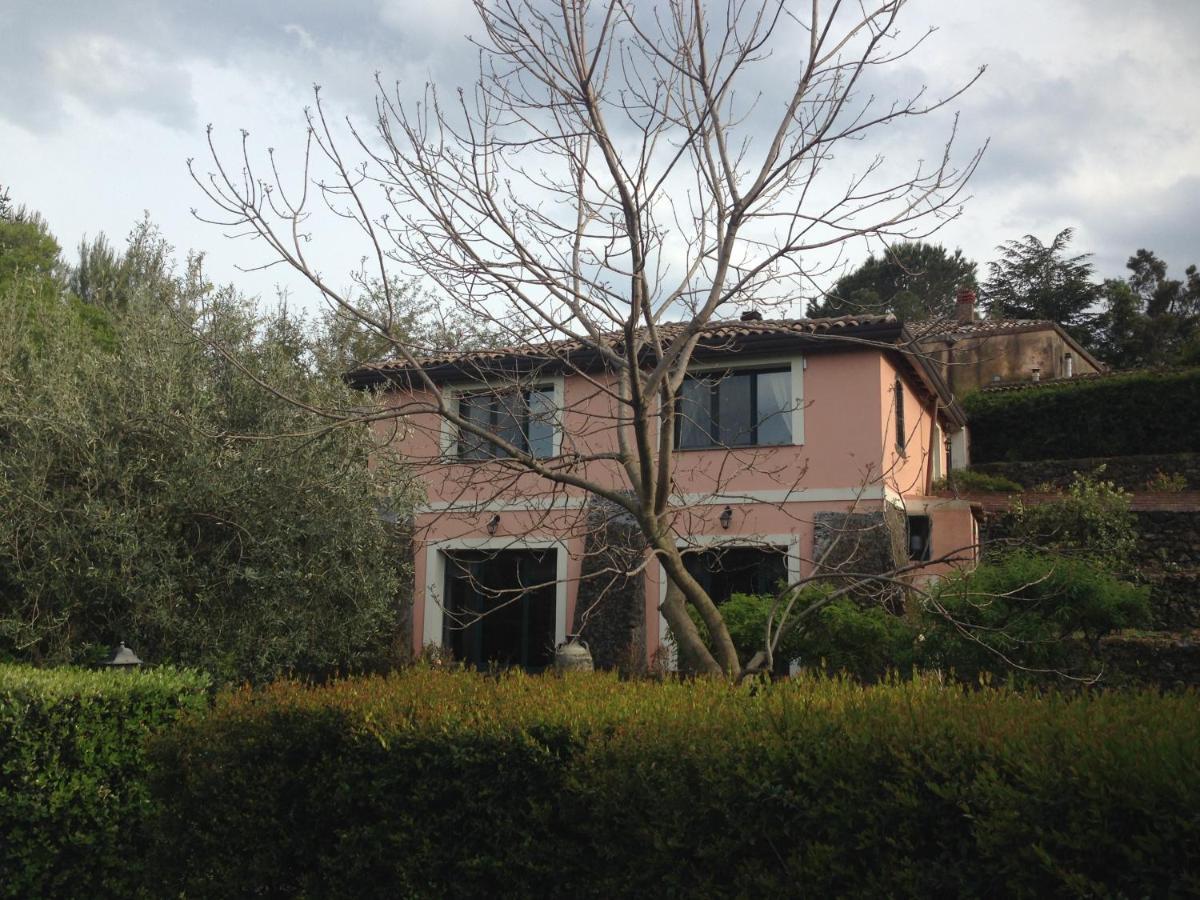 Bed And Breakfast Il Glicine Piedimonte Etneo Bagian luar foto