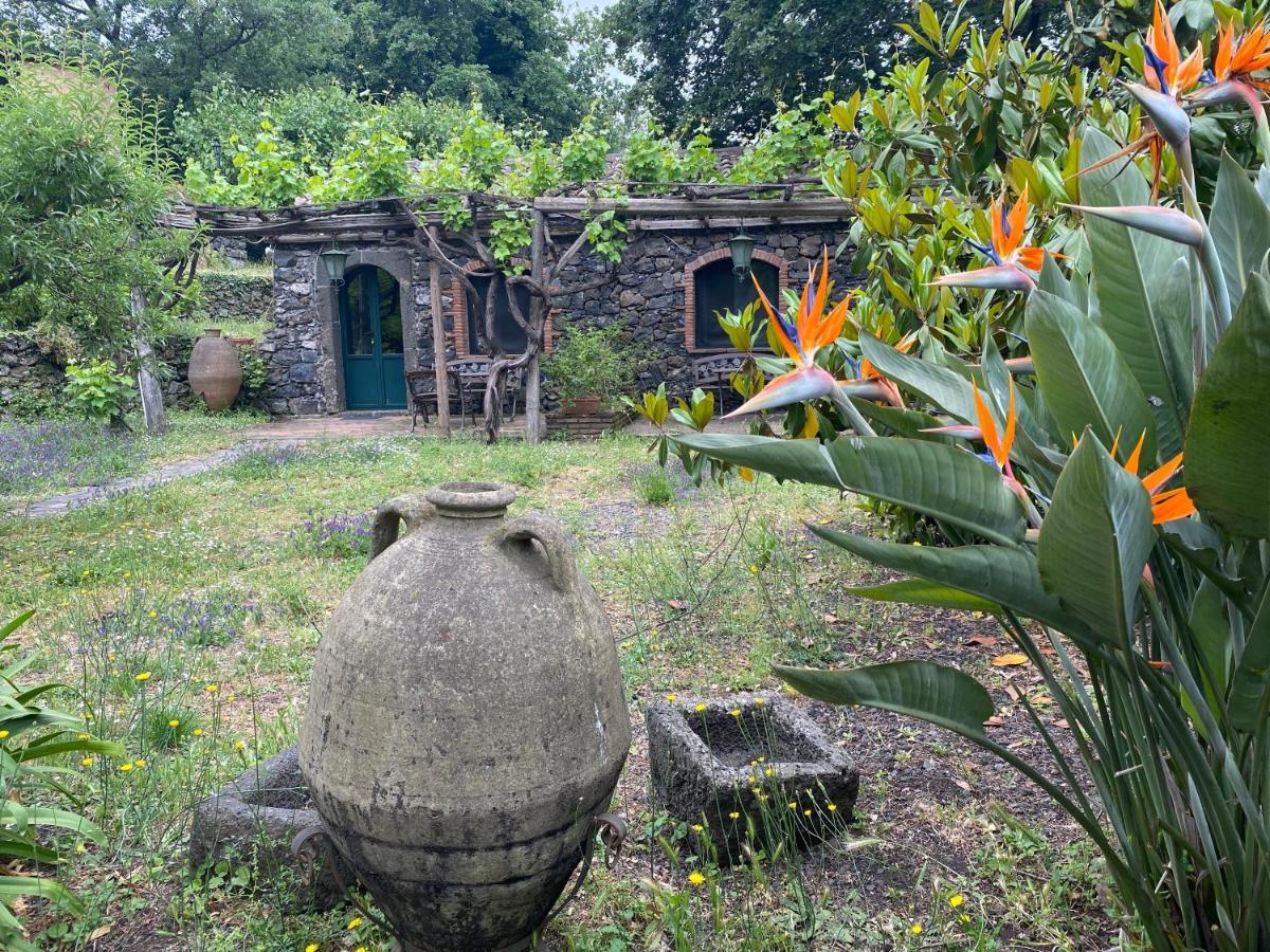 Bed And Breakfast Il Glicine Piedimonte Etneo Bagian luar foto