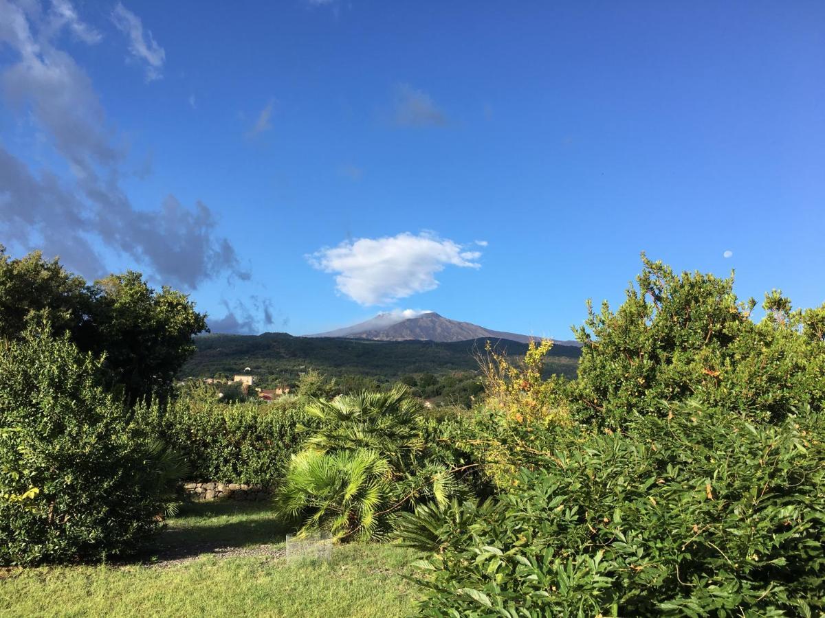 Bed And Breakfast Il Glicine Piedimonte Etneo Bagian luar foto