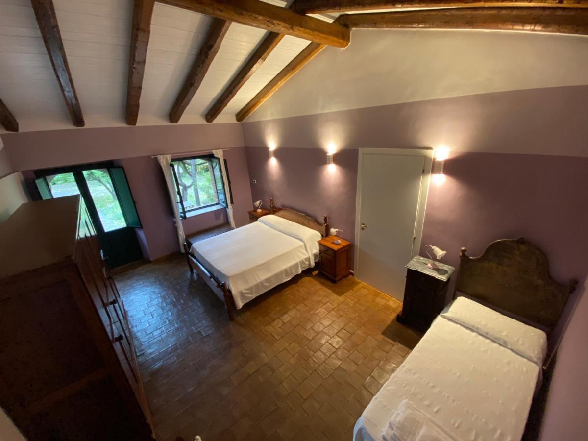 Bed And Breakfast Il Glicine Piedimonte Etneo Bagian luar foto
