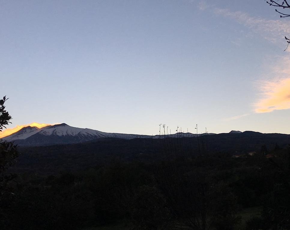 Bed And Breakfast Il Glicine Piedimonte Etneo Bagian luar foto