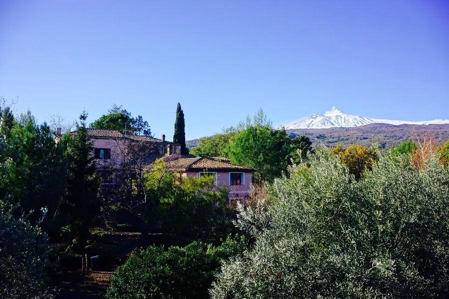 Bed And Breakfast Il Glicine Piedimonte Etneo Bagian luar foto