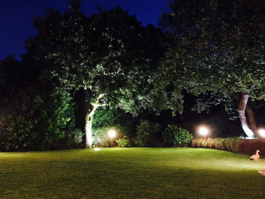 Bed And Breakfast Il Glicine Piedimonte Etneo Bagian luar foto