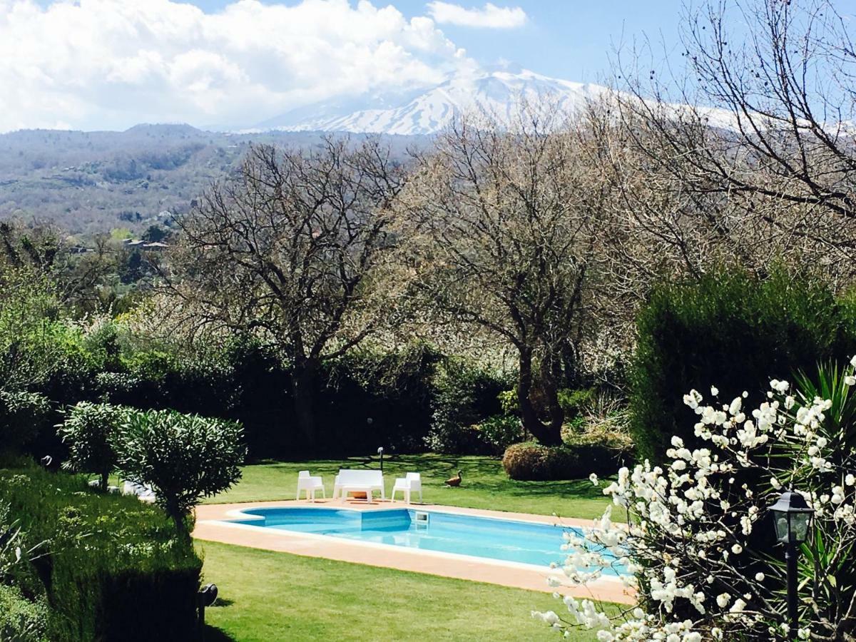 Bed And Breakfast Il Glicine Piedimonte Etneo Bagian luar foto